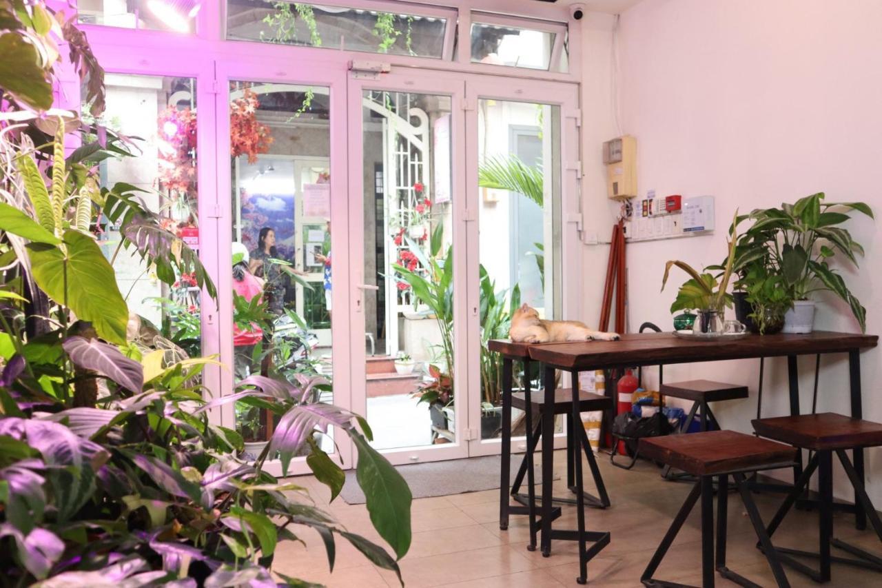 Amango Dorm Hostel TP. Hồ Chí Minh Ngoại thất bức ảnh