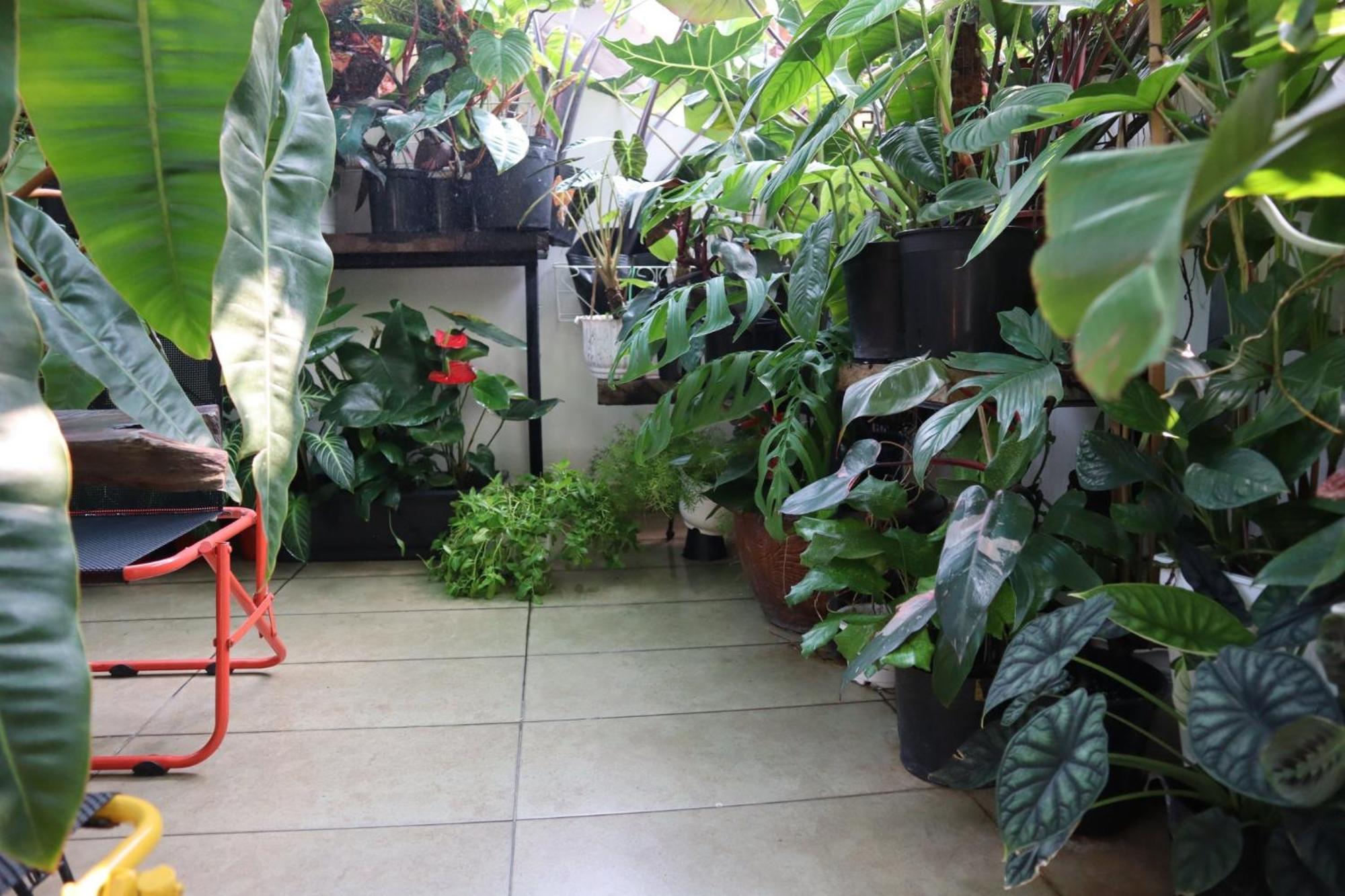 Amango Dorm Hostel TP. Hồ Chí Minh Ngoại thất bức ảnh